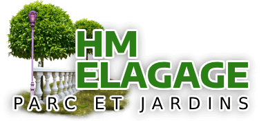 hm-elagage-parc-et-jardins